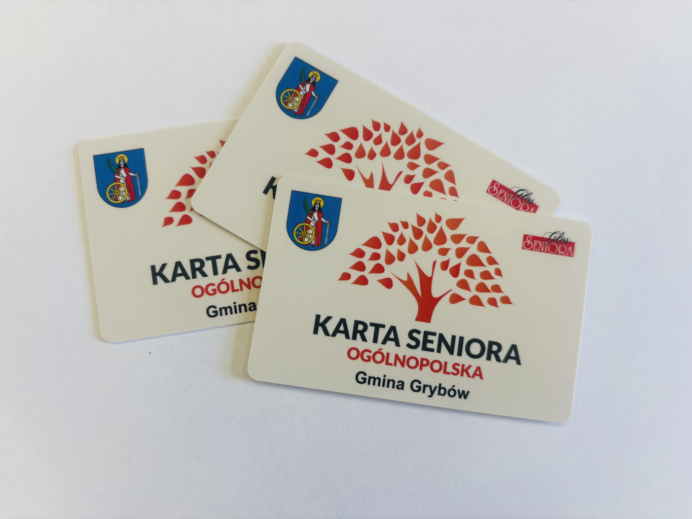 Aktualności